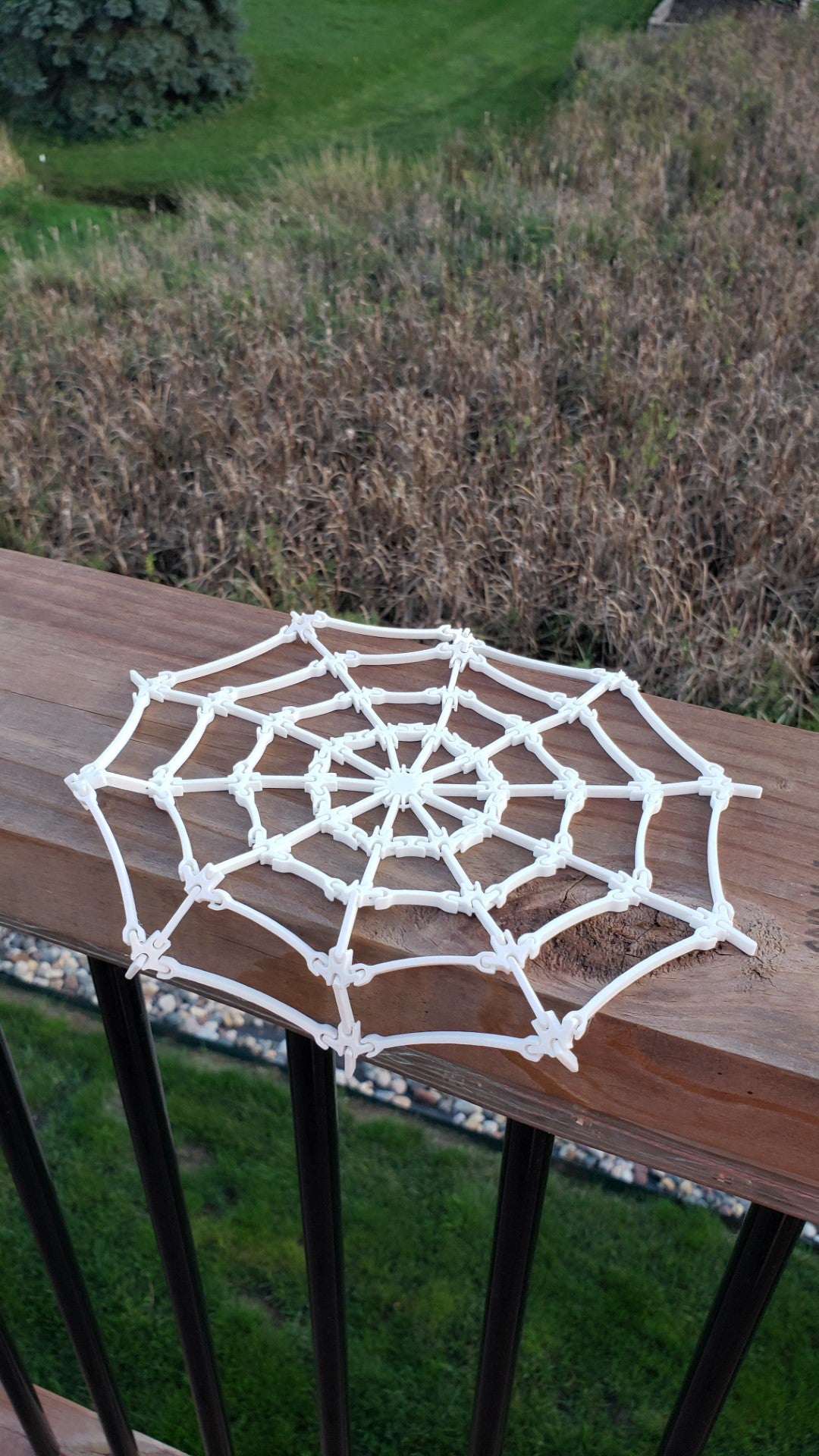 3D Print - Spider web